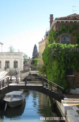 Venice Bridges