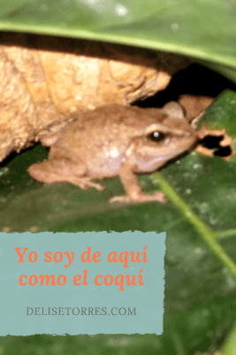 Yo soy de aqui como el coqui quote