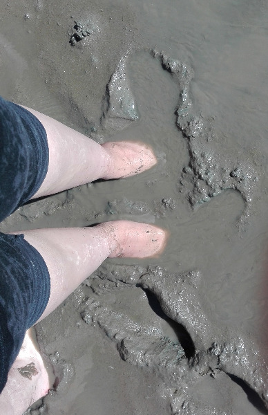 Feet Deep in Wattenmeer